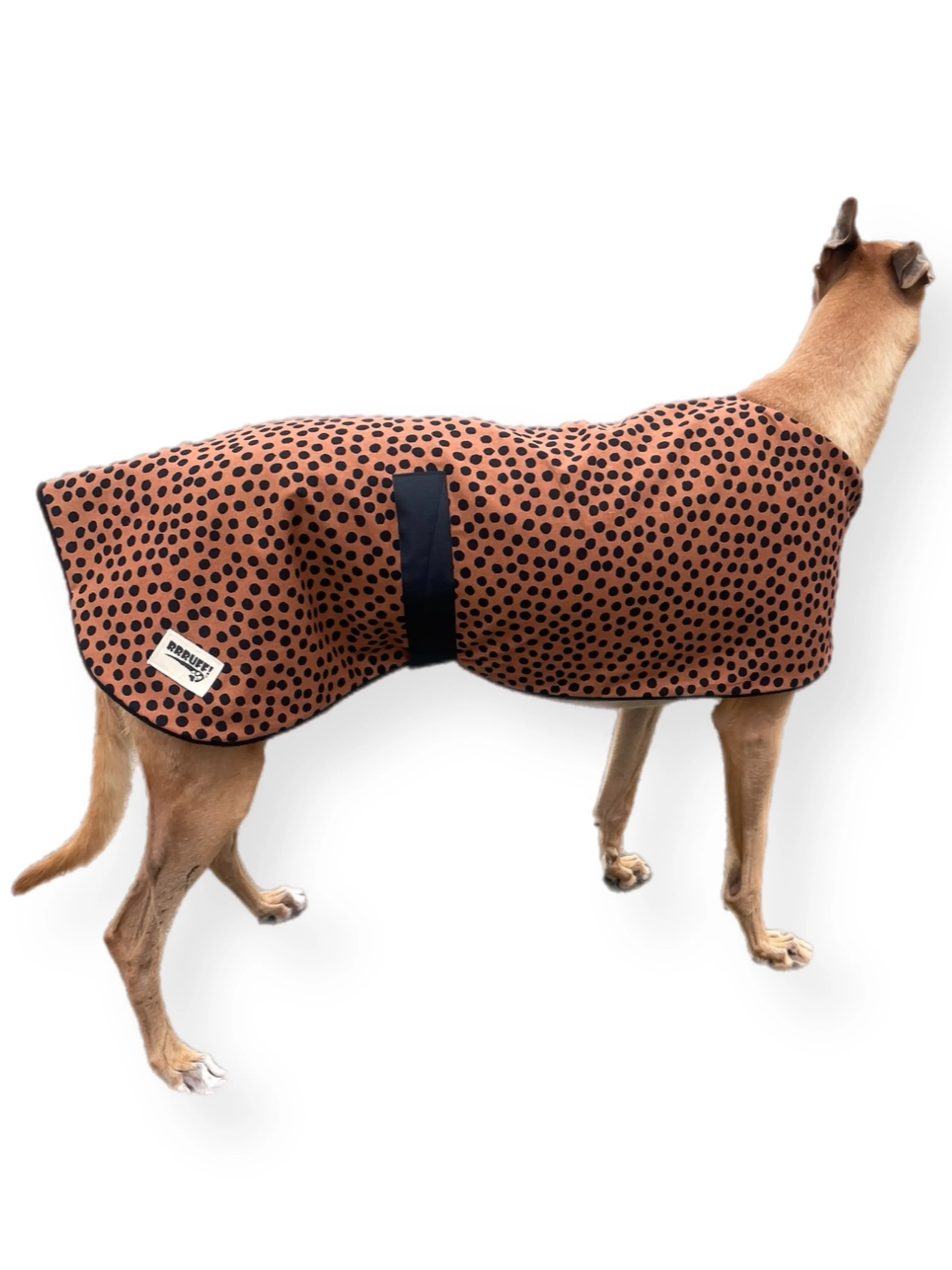 Going Dotty Autumn range classic style Greyhound coat in cotton & inner fleece washable