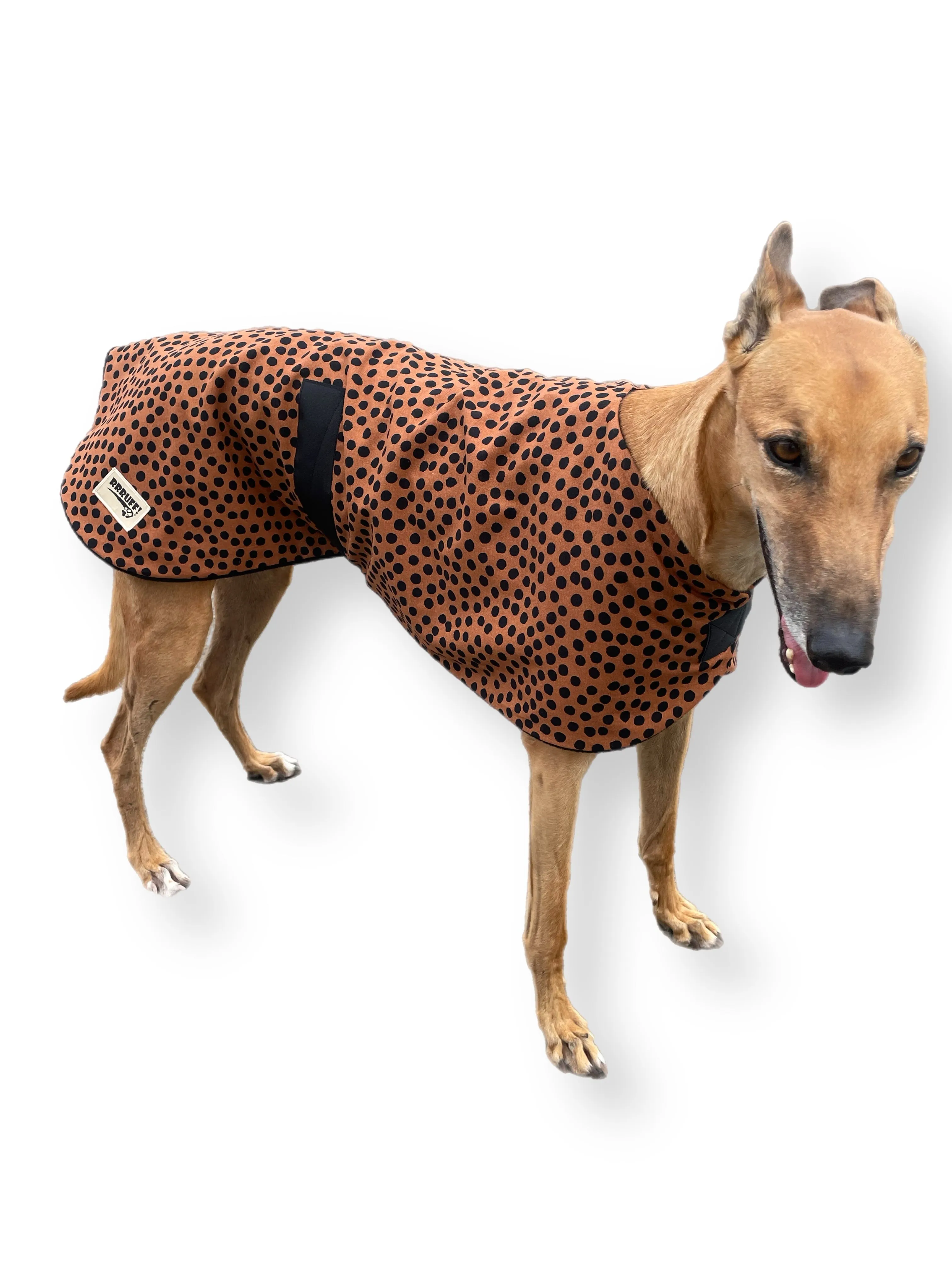 Going Dotty Autumn range classic style Greyhound coat in cotton & inner fleece washable